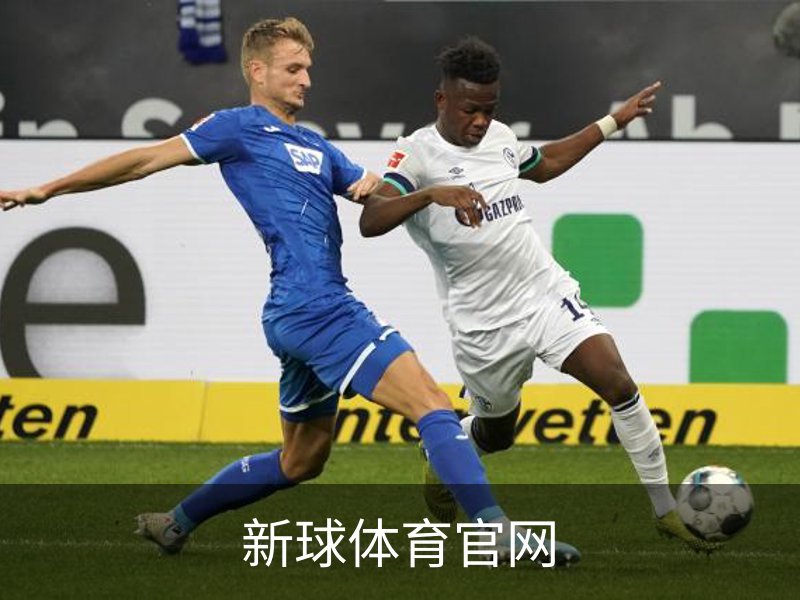 走进新球体育官网